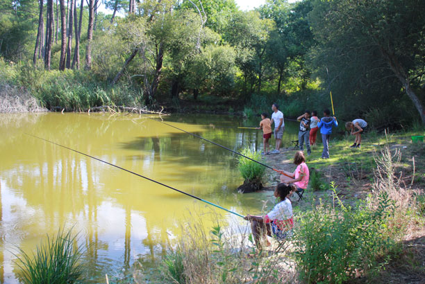 Vacances-passion - Centre Ispe Larrigade - Biscarrosse - Landes