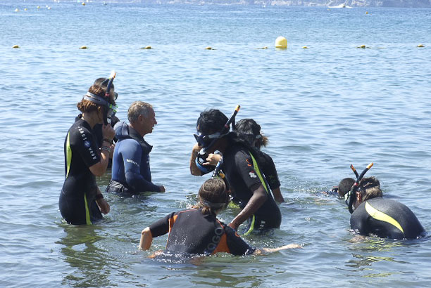 Vacances-passion - Le Mas de l'Artaude - Le Pradet - Var