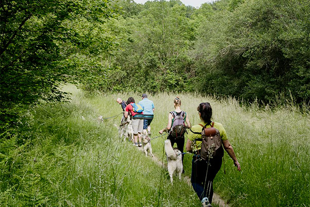 Vacances-passion - Volca-Sancy - Murat-le-Quaire - Puy-de-Dôme