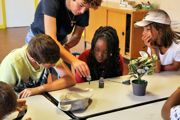 Vacances-passion - Domaine de Laurière - Villefranche-de-Rouergue - Aveyron