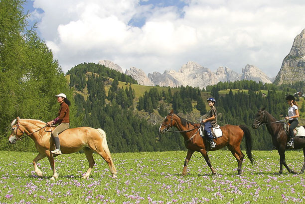 Vacances-passion - Centre Couleur Nature - Lus-la-Croix-Haute - Drôme