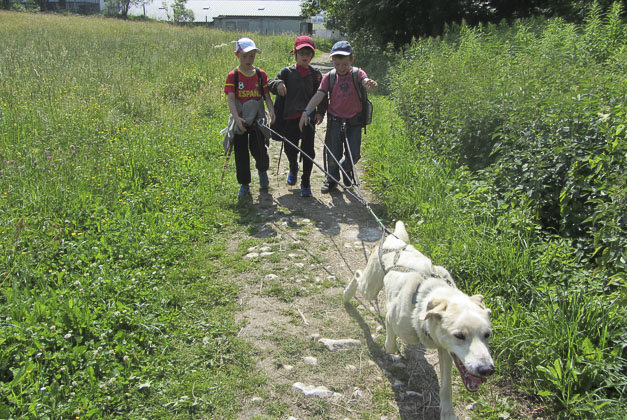 Vacances-passion - Centre d'Autrans - Autrans - Isère