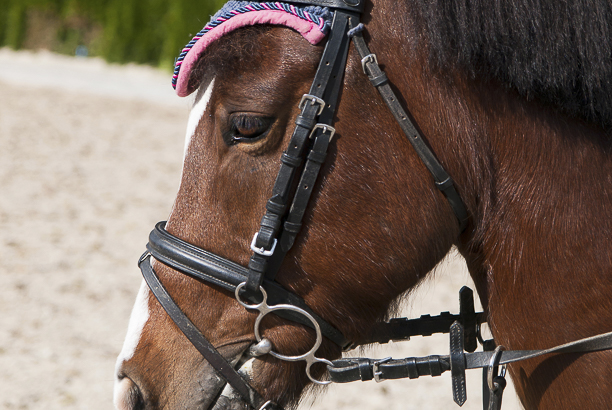 Vacances-passion - Chalet Vars - Vars - Hautes-Alpes