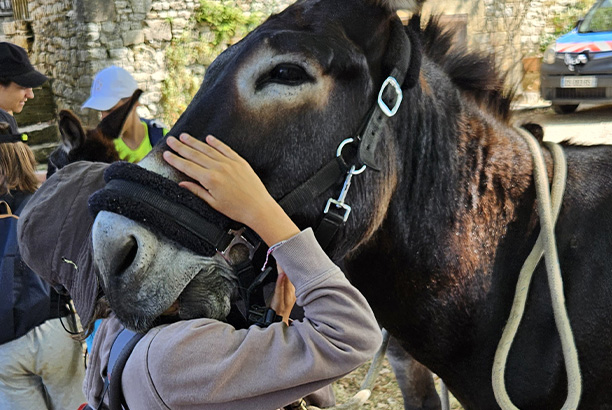 Vacances pour tous - colonies de vacances  - Les Eyzies-Sireuil - Animaux et p'tits cuistots