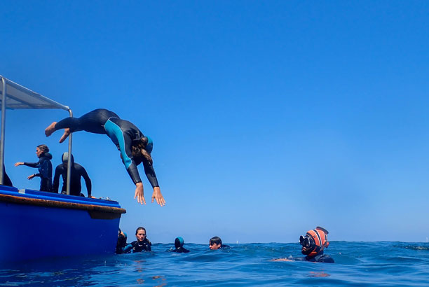 Vacances-passion - Domaine Camieta - Saint-Jean-de-Luz - Pyrénées-Atlantiques