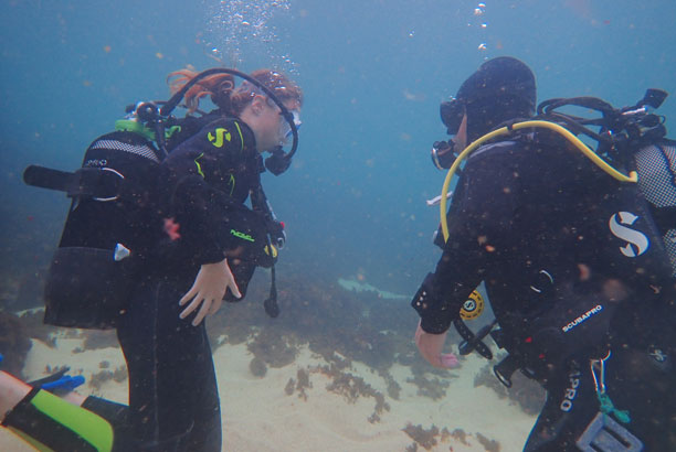 Vacances-passion - Domaine Camieta - Saint-Jean-de-Luz - Pyrénées-Atlantiques