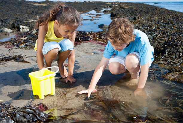 Vacances pour tous - colonies de vacances  - Batz-sur-Mer - "Sel et Vacances"