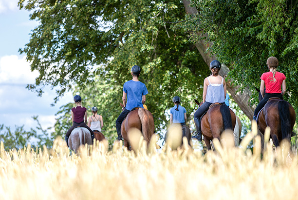 Vacances-passion - Les écuries de Saint-Georges-sur-Loire - Saint-Georges-sur-Loire - Maine-et-Loire