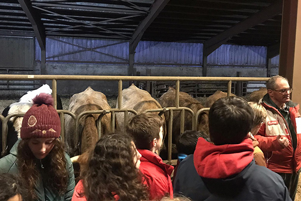 Vacances-passion - Le Chalet du Ticou** - Bolquère - Pyrénées-Orientales