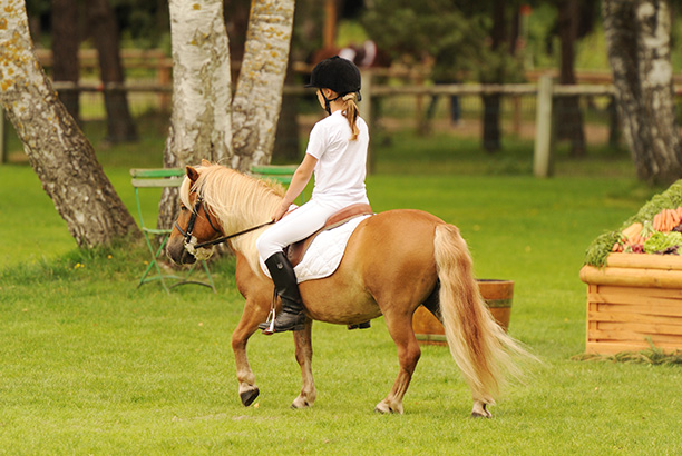 Vacances-passion - Cap Sireuil Village - Les Eyzies de Tayac - Dordogne