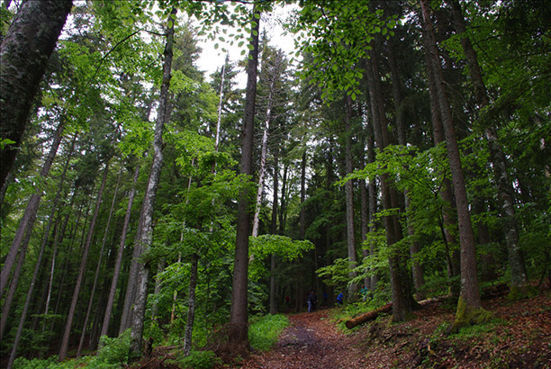 Vacances-passion - Centre de jeunesse Le Vertaco' - Autrans - Isère