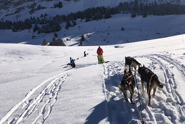 Vacances-passion - Thorens-Glières - Thorens Glières - Haute-Savoie