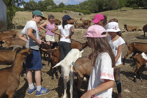 Vacances-passion - Centre équestre Cheval Bugey - Ceyzériat - Ain