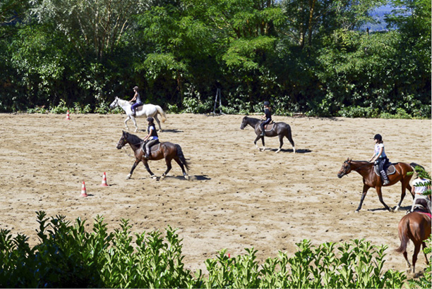 Vacances-passion - Centre équestre Cheval Bugey - Ceyzériat - Ain