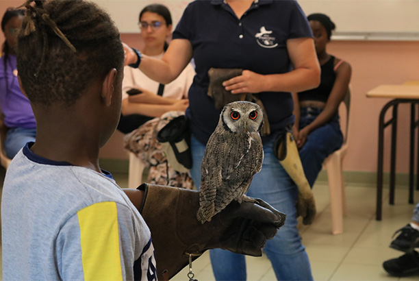 Vacances pour tous - colonies de vacances  - Azay-le-Ferron - Animalier