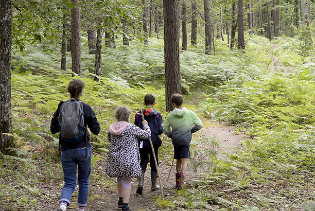 Vacances pour tous - colonies de vacances  - Azay-le-Ferron - Sport et nature