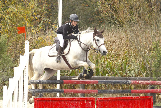 Vacances pour tous - colonies de vacances  - Chevillon - À cheval ! Stage "progression"