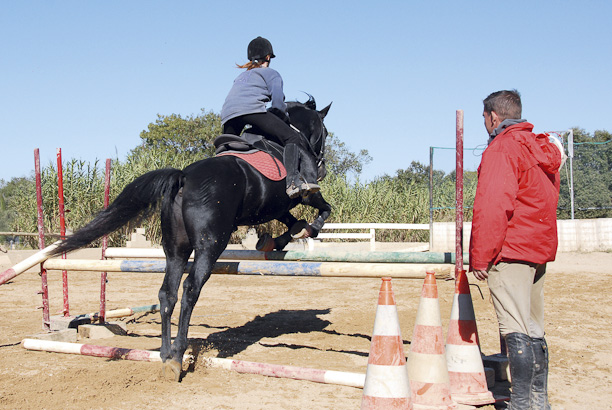 Vacances pour tous - colonies de vacances  - Chevillon - À cheval ! Stage "perfectionnement"