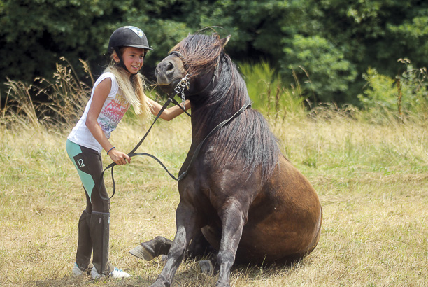 Vacances-passion - Domaine Equiland - Cassen - Landes