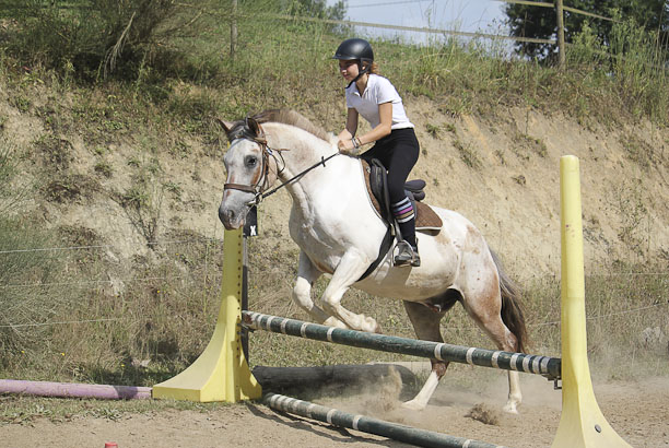 Vacances-passion - Domaine Equiland - Cassen - Landes