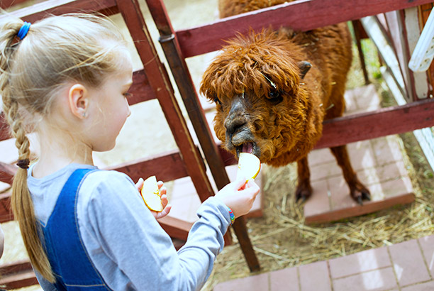 Vacances pour tous - colonies de vacances  - Baugé - Ma colo au zoo de La Flèche