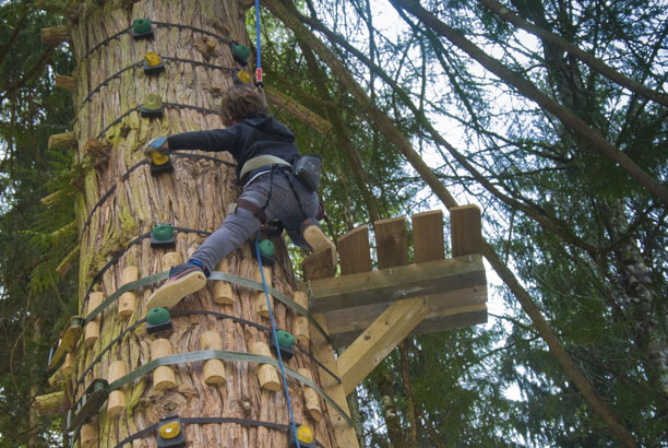 Vacances pour tous - colonies de vacances  - Autrans - Vertaco des bois