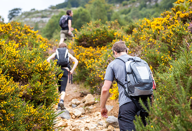 Vacances-passion - Les Jonquilles - Xonrupt-Longemer - Vosges