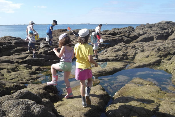 Vacances-passion - Le Razay - Piriac sur Mer - Loire-Atlantique