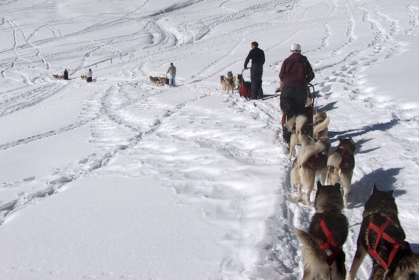 Vacances pour tous - colonies de vacances  - Les Carroz-d'Arâches - Grand Nord au Grand Massif