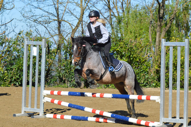 Vacances pour tous - colonies de vacances  - Ceyzériat - Stage intensif d'équitation