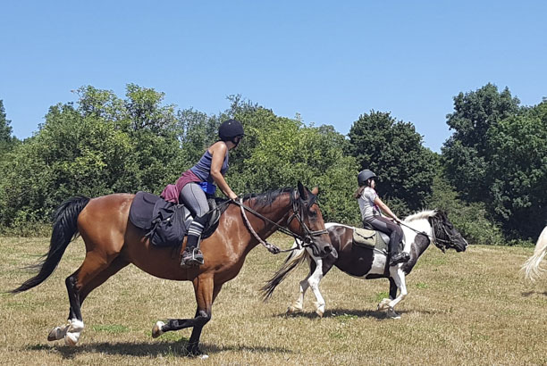 Vacances-passion - Centre équestre Cheval Bugey - Ceyzériat - Ain