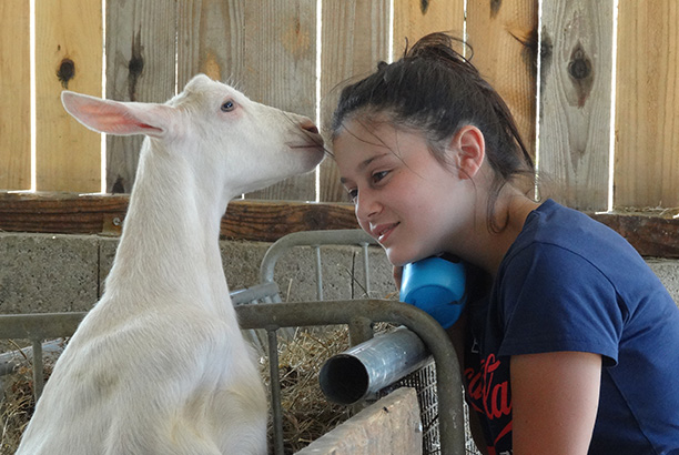 Vacances pour tous - colonies de vacances  - Ceyzériat - La colo des animaux