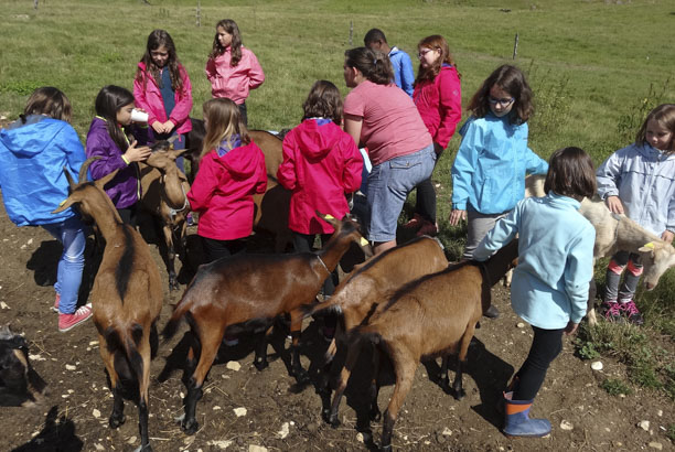 Vacances-passion - Centre équestre Cheval Bugey - Ceyzériat - Ain