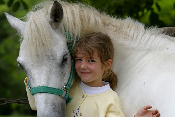 Vacances pour tous - colonies de vacances  - Ceyzériat - Équitation, loisirs et nature