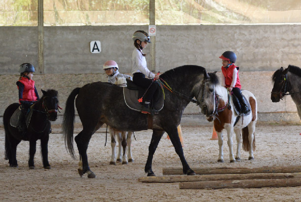 Vacances-passion - Centre équestre Cheval Bugey - Ceyzériat - Ain