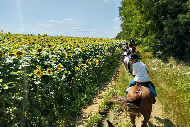 Vacances-passion - Centre équestre Cheval Bugey - Ceyzériat - Ain