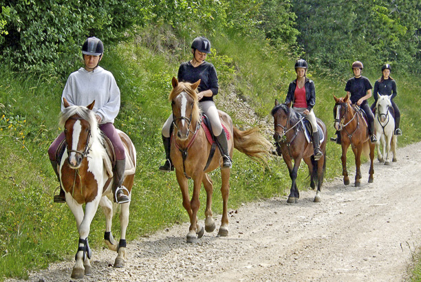 Vacances-passion - Centre équestre Cheval Bugey - Ceyzériat - Ain