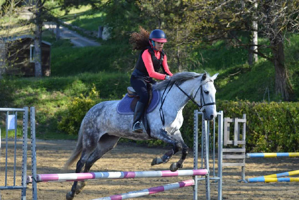 Vacances-passion - Centre équestre Cheval Bugey - Ceyzériat - Ain