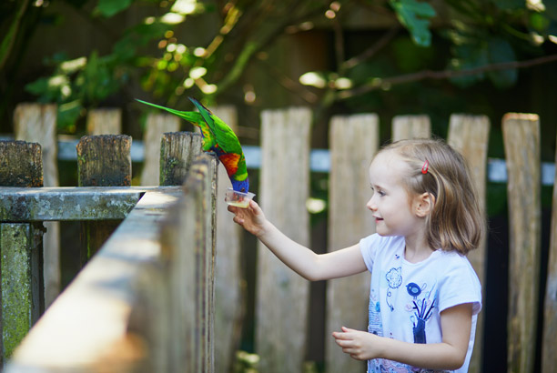 Vacances pour tous - colonies de vacances  - Azay-le-Ferron - Mes premiers pas : sur la piste des animaux