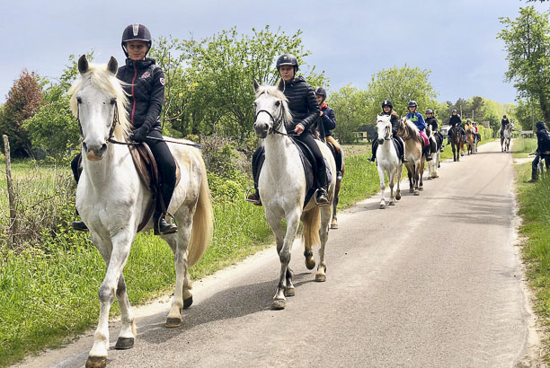 Vacances-passion - Domaine équestre de Chevillon - Charny-Orée-de-Puisaye - Yonne