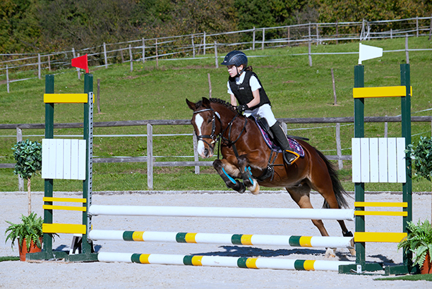 Vacances pour tous - colonies de vacances  - Chevillon - À cheval ! Stage "perfectionnement"