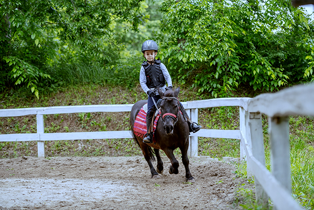 Vacances pour tous - colonies de vacances  - Chevillon - Au trot avec mon poney