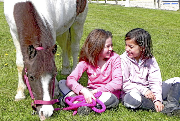 Vacances-passion - Domaine équestre de Chevillon - Charny-Orée-de-Puisaye - Yonne