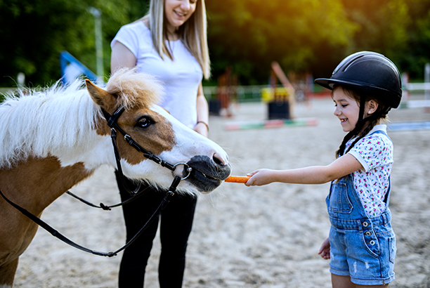 Vacances pour tous - colonies de vacances  - Chevillon - À poney et à la ferme