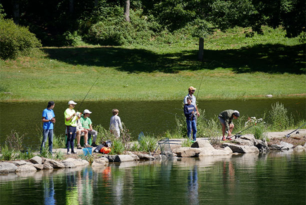 Vacances-passion - Village L'Anse du lac - Pont-de-Salars - Aveyron