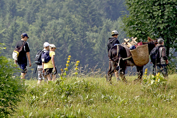 Vacances-passion - Grandeur Nature - Chaux-Neuve - Doubs