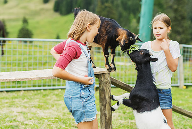 Vacances-passion - Volca-Sancy - Murat-le-Quaire - Puy-de-Dôme