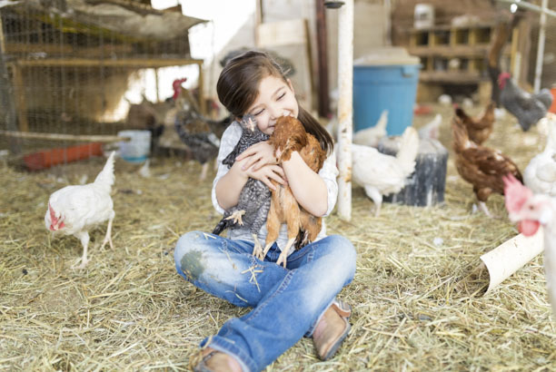 Vacances-passion - Ferme pédagogique du Pichet - Norroy-sur-Vair - Vosges