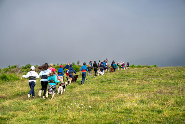 Vacances-passion - Volca-Sancy - Murat-le-Quaire - Puy-de-Dôme