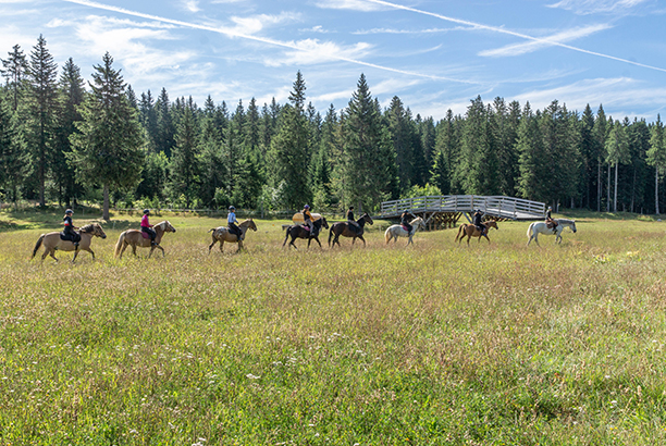 Vacances-passion - Centre d'Autrans - Autrans - Isère